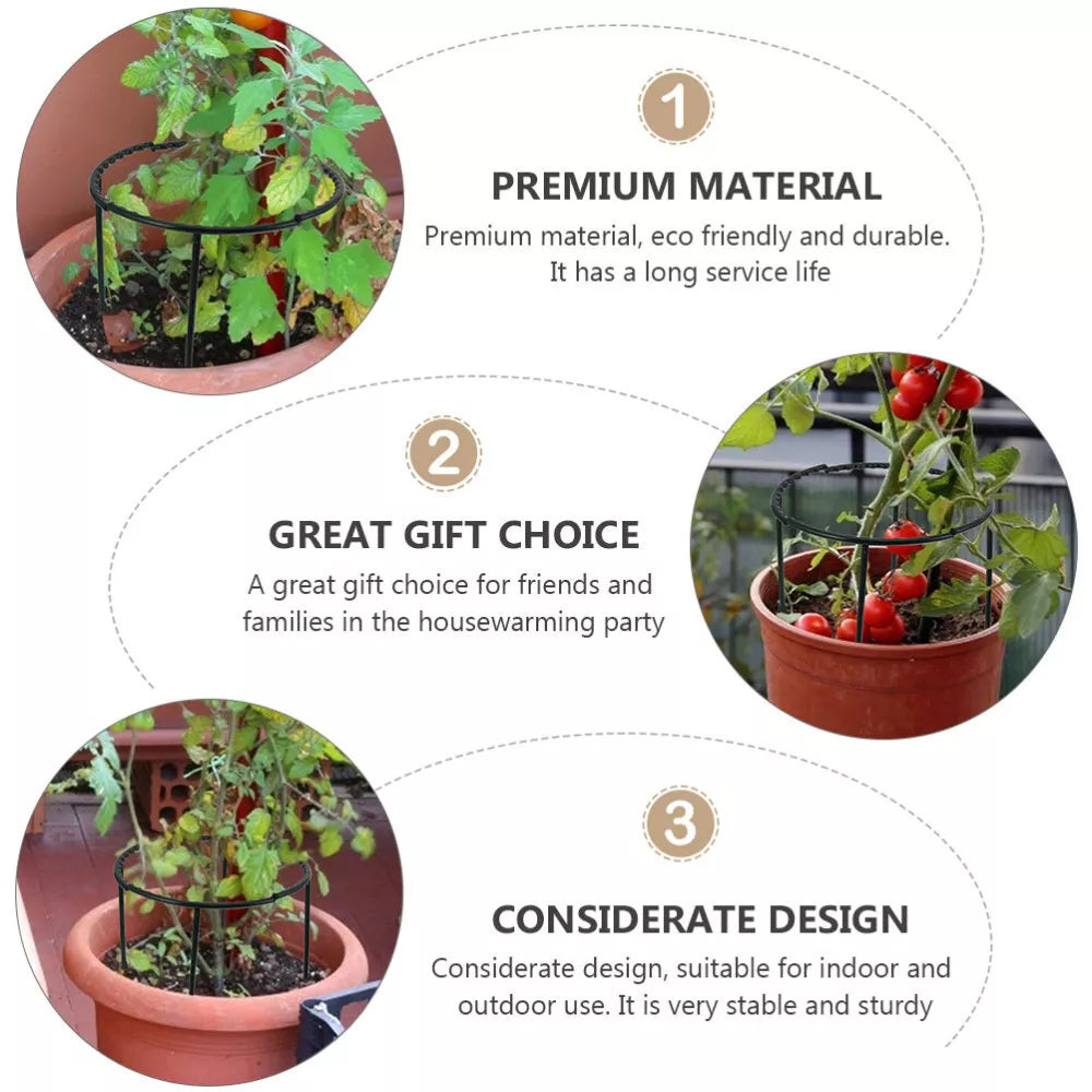 Lisslune | Climbing support for plants – Robust holder with cage design for growth and stability