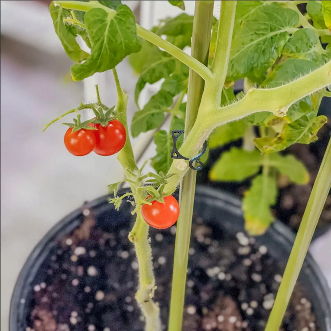 Lisslune | Cat-shaped Plant Clip – Cute Plant Support for Garden and House Plants