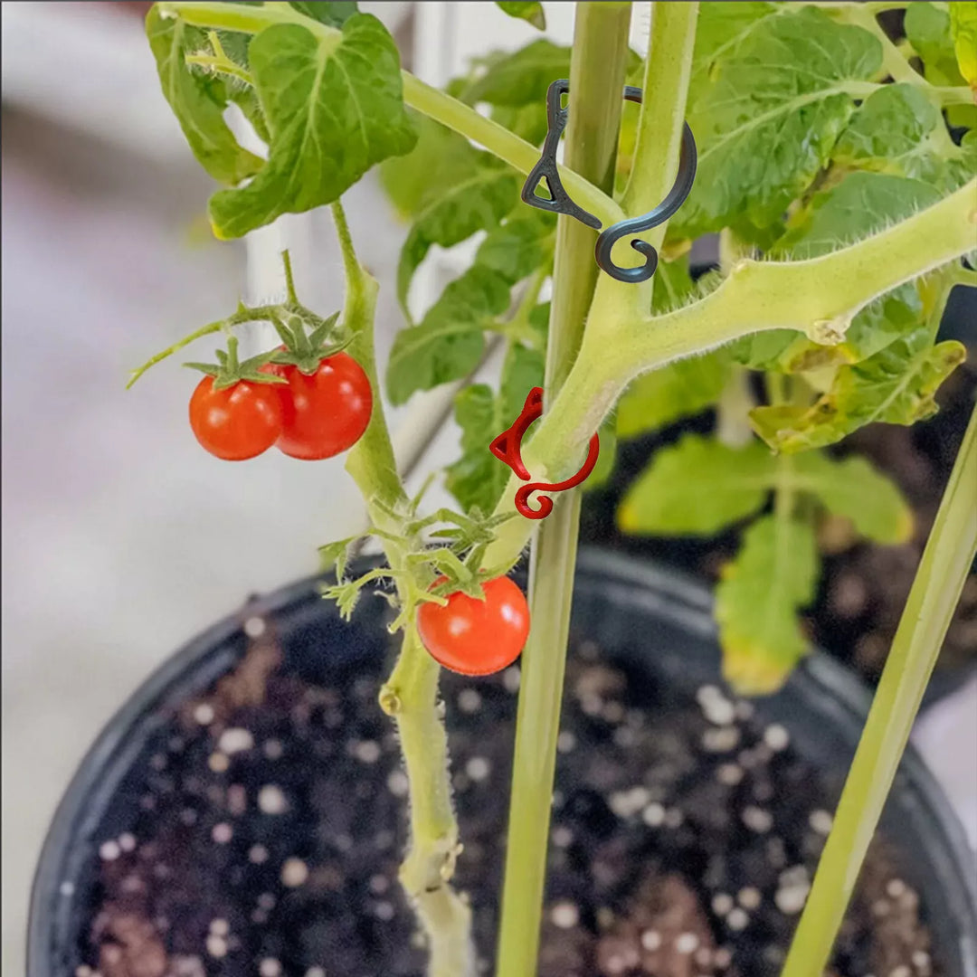 Lisslune | Cat-shaped Plant Clip – Cute Plant Support for Garden and House Plants