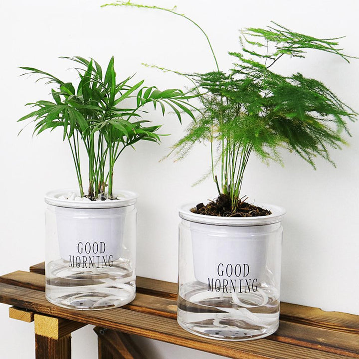 Lisslune | Self-watering Hydro-Flower Pot
