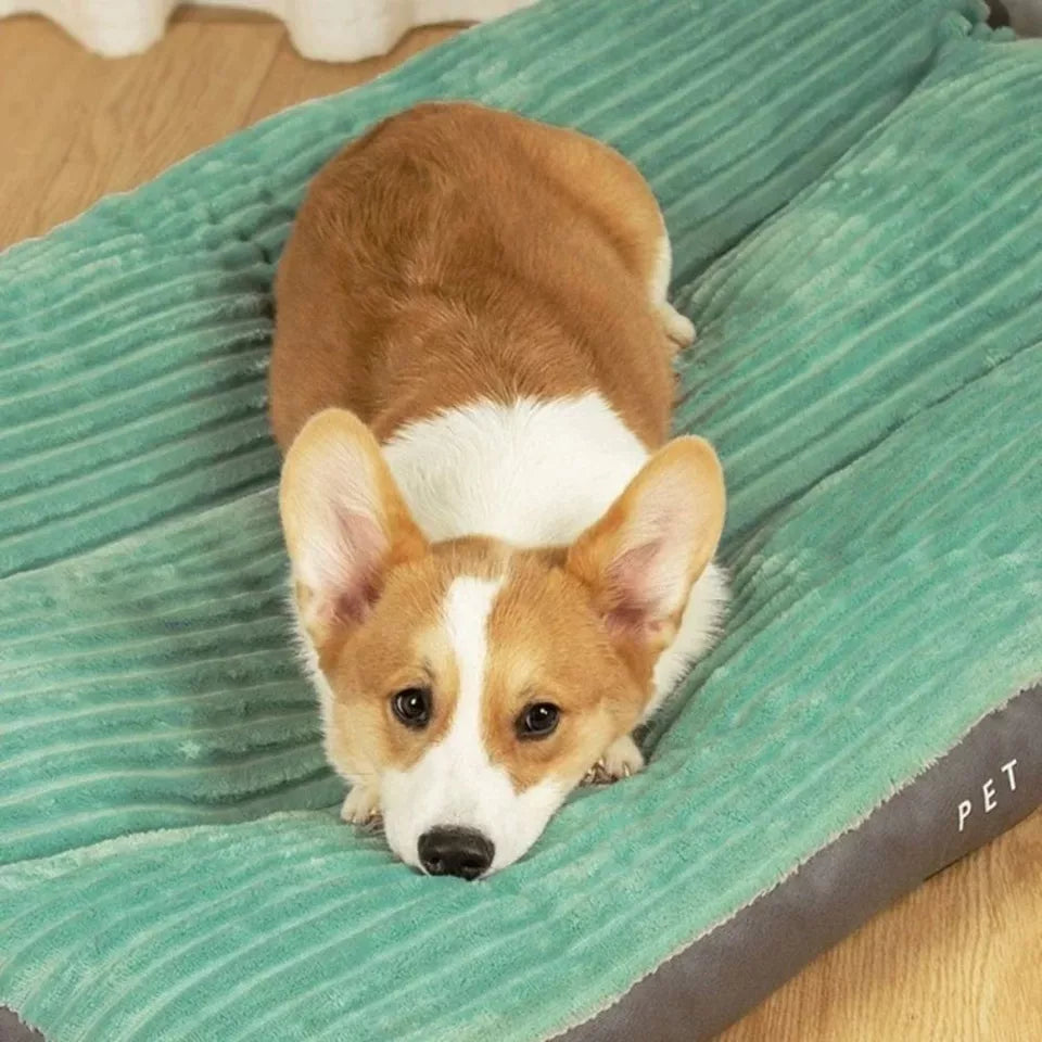 Lisslune | DreamRest Orthopedic Dog Bed – Fluffy, Supportive & Washable Comfort