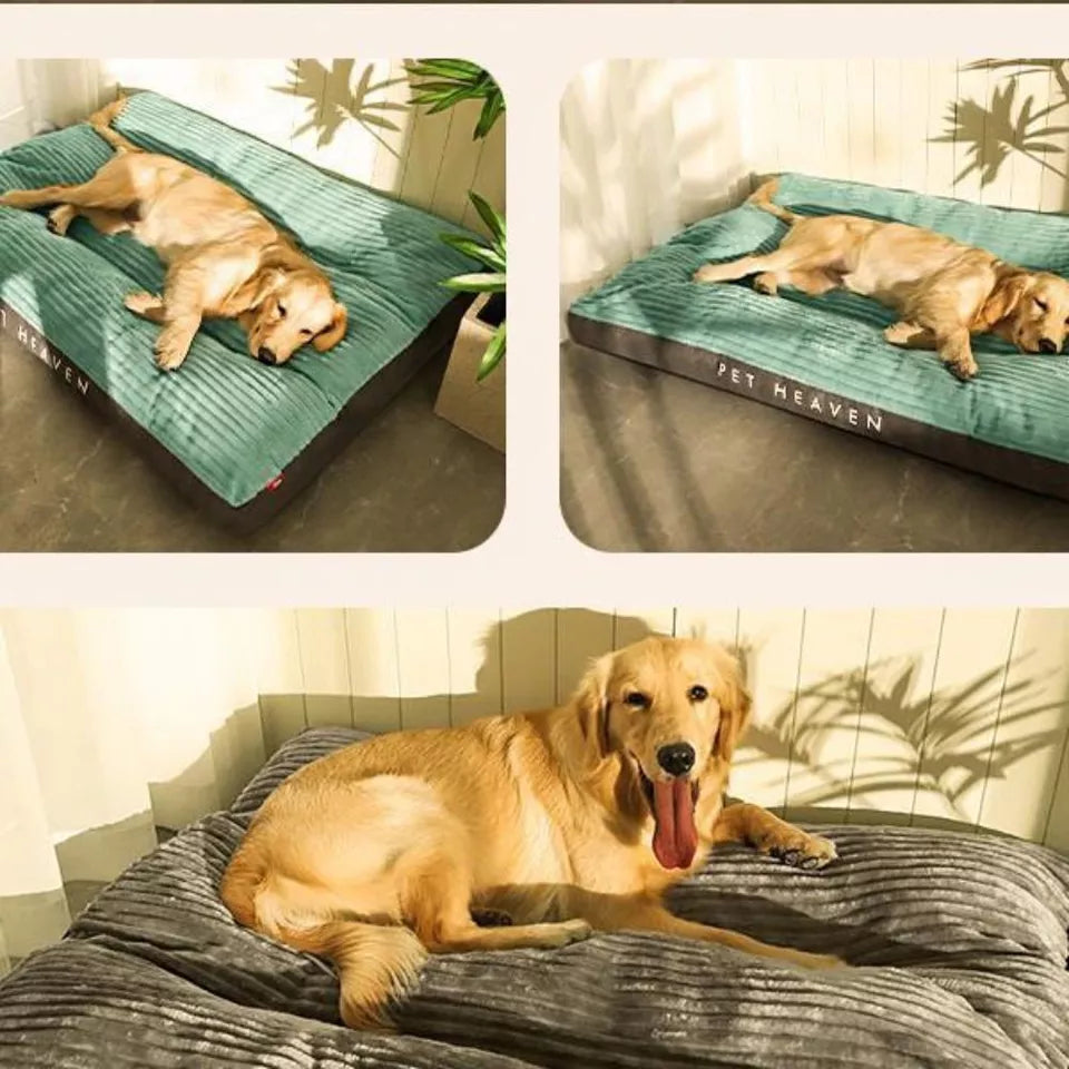 Lisslune | DreamRest Orthopedic Dog Bed – Fluffy, Supportive & Washable Comfort