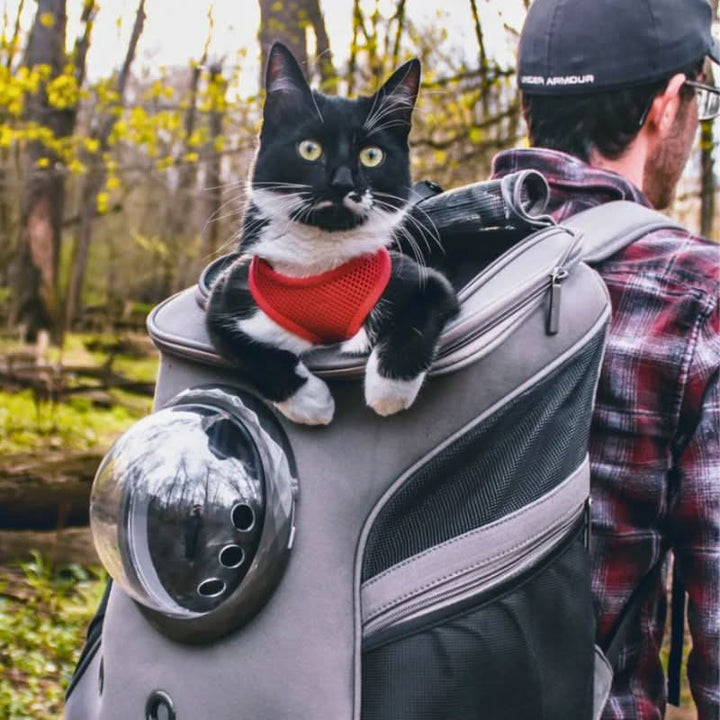 Lisslune | Foldable Cat Travel Bag with Panoramic Window for Stress-Free Travel