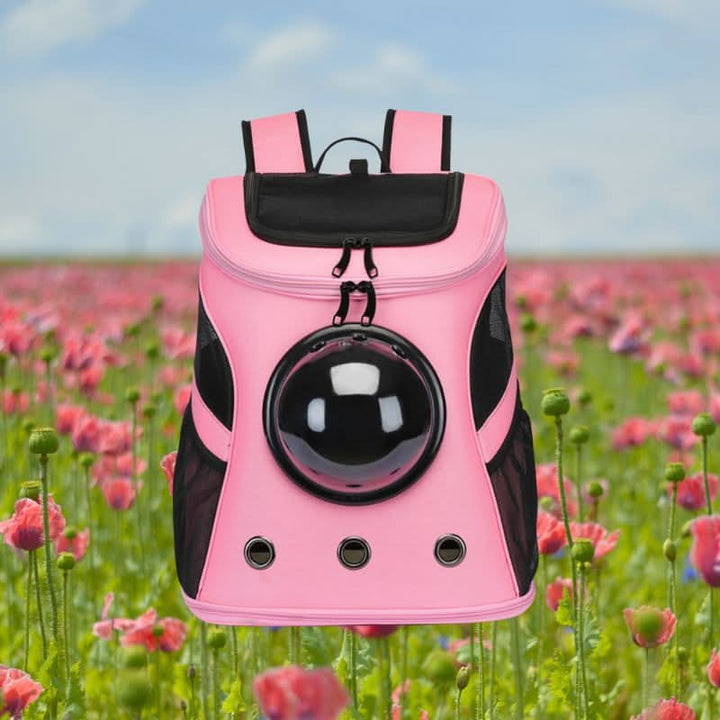 Lisslune | Foldable Cat Travel Bag with Panoramic Window for Stress-Free Travel