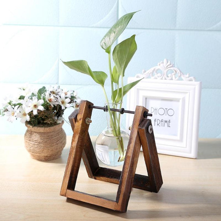 Lisslune | Tabletop Clear Glass and Wooden Vases