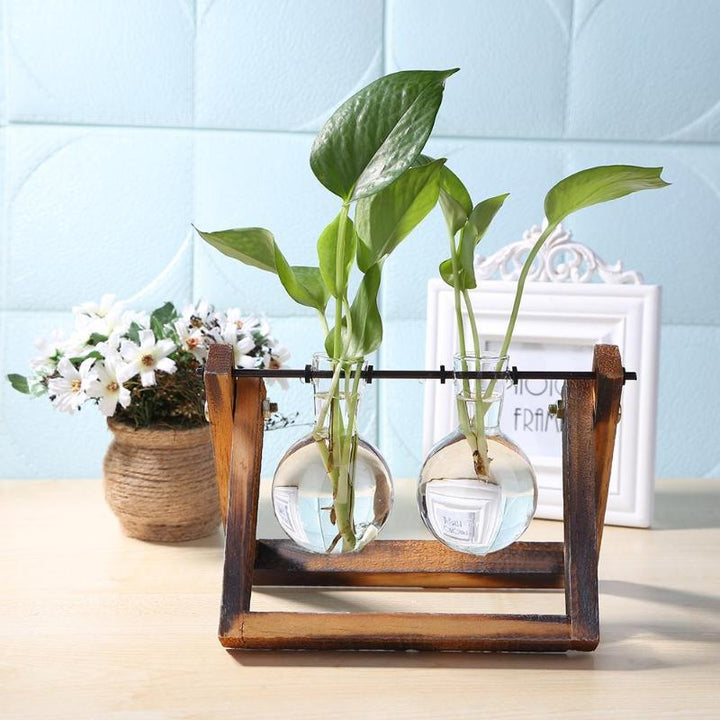 Lisslune | Tabletop Clear Glass and Wooden Vases