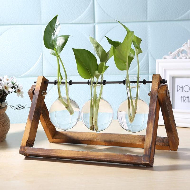 Lisslune | Tabletop Clear Glass and Wooden Vases