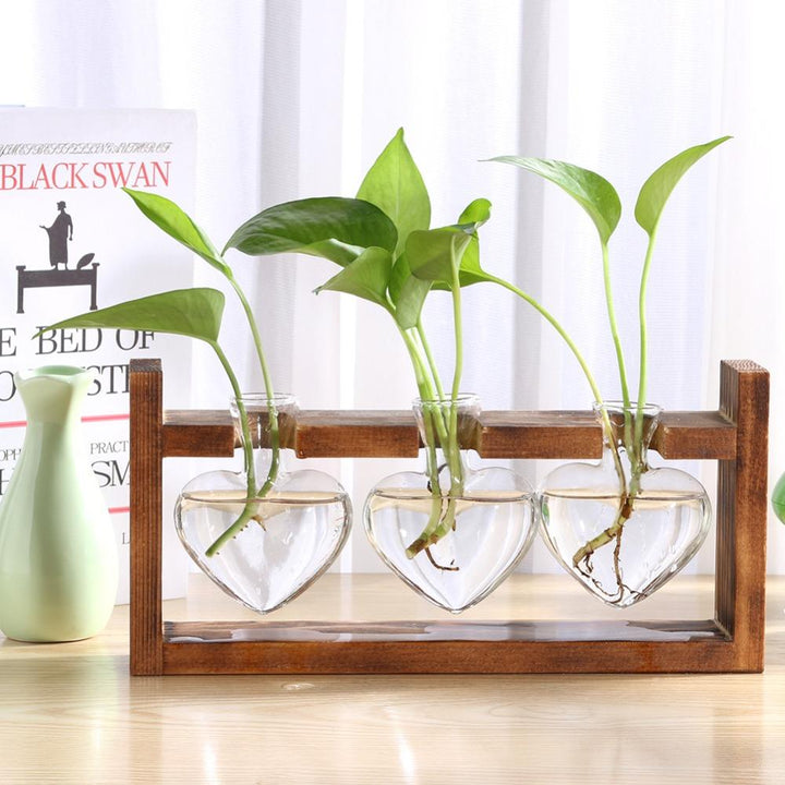 Lisslune | Tabletop Clear Glass and Wooden Vases