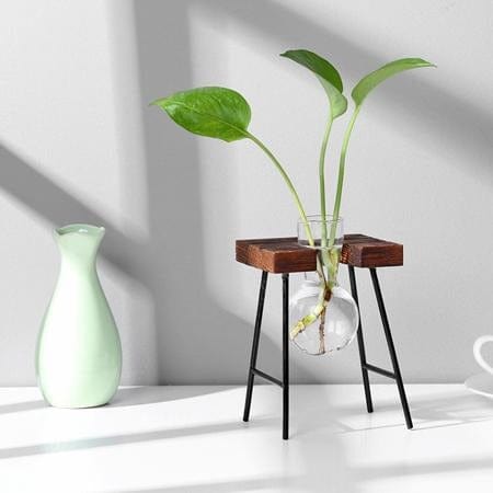 Lisslune | Tabletop Clear Glass and Wooden Vases