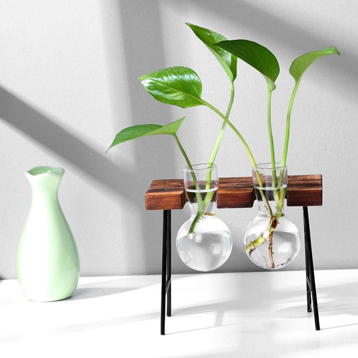Lisslune | Tabletop Clear Glass and Wooden Vases