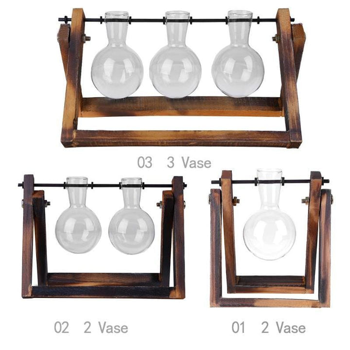 Lisslune | Tabletop Clear Glass and Wooden Vases