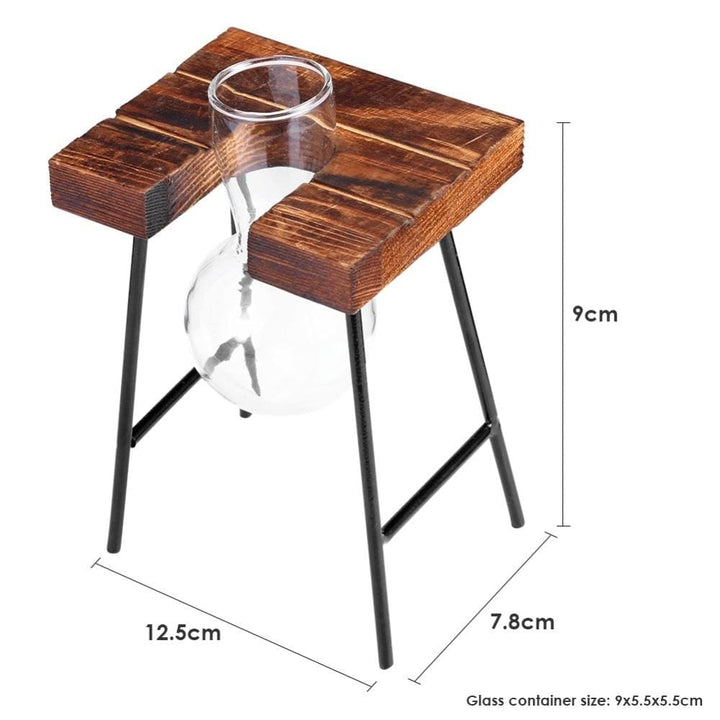 Lisslune | Tabletop Clear Glass and Wooden Vases