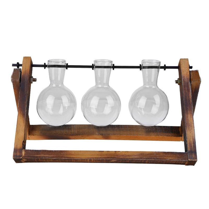 Lisslune | Tabletop Clear Glass and Wooden Vases