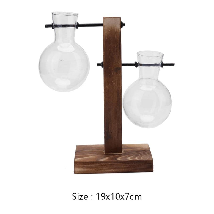 Lisslune | Tabletop Clear Glass and Wooden Vases
