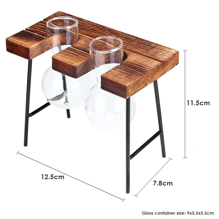 Lisslune | Tabletop Clear Glass and Wooden Vases