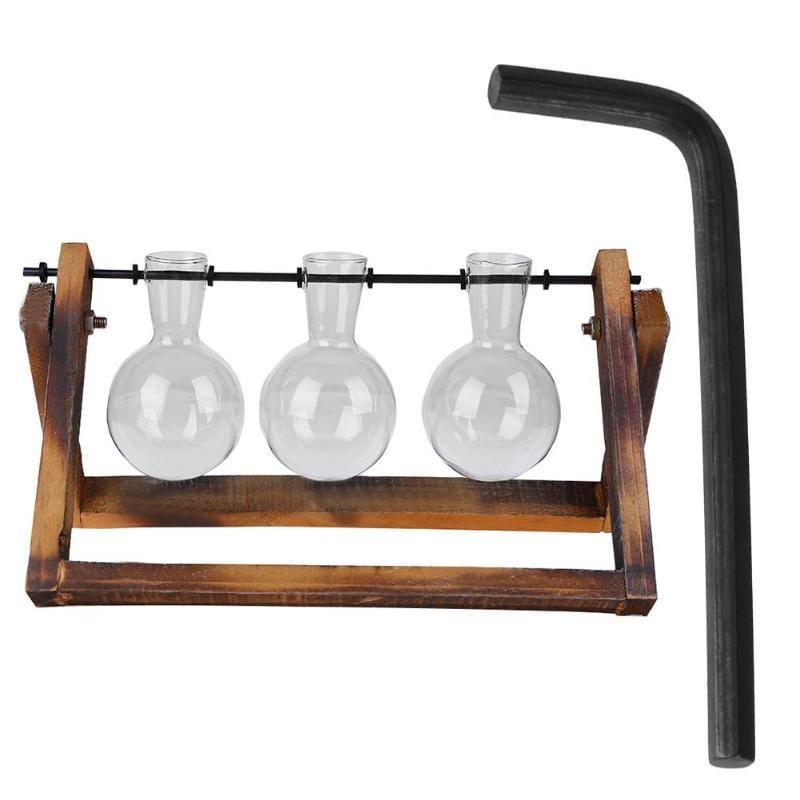 Lisslune | Tabletop Clear Glass and Wooden Vases