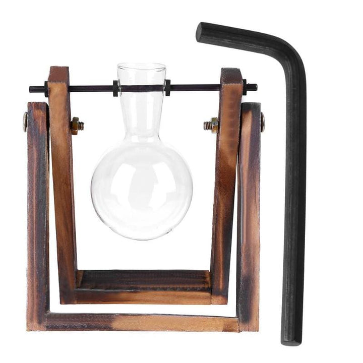 Lisslune | Tabletop Clear Glass and Wooden Vases