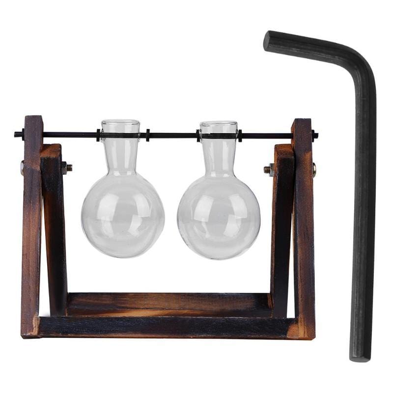 Lisslune | Tabletop Clear Glass and Wooden Vases