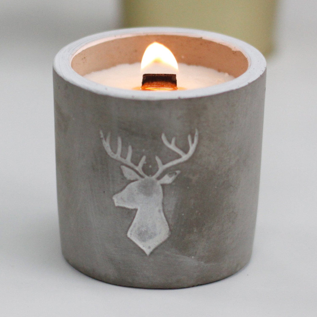 Lisslune | Medium soy wax candles in concrete pots