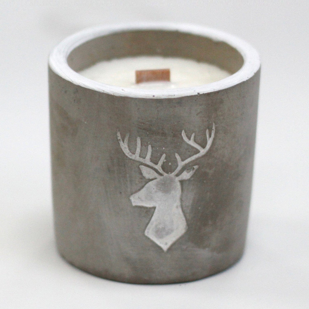 Lisslune | Medium soy wax candles in concrete pots