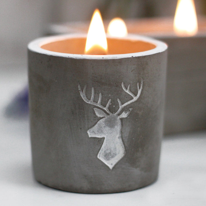 Lisslune | Medium soy wax candles in concrete pots