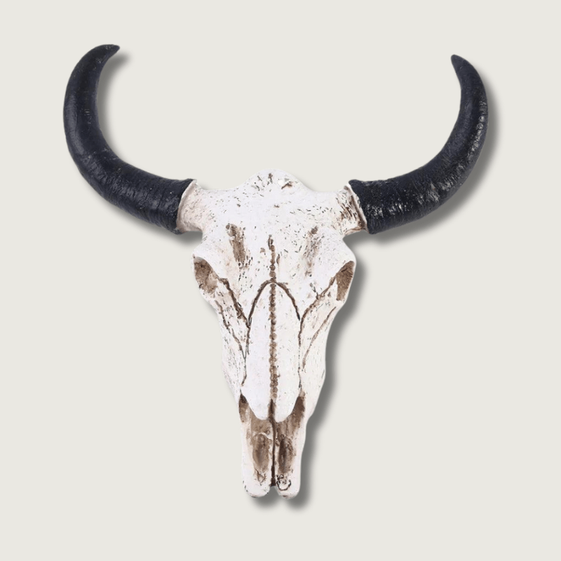 Lisslune | Decorative Resin Longhorn Skull Wall Art