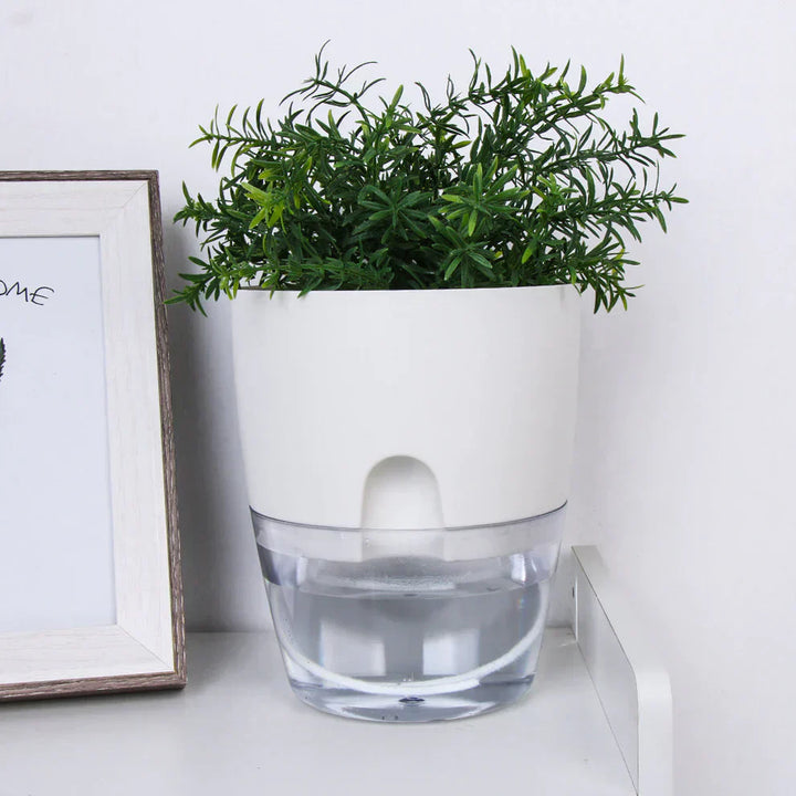 Lisslune | Automatic watering pot