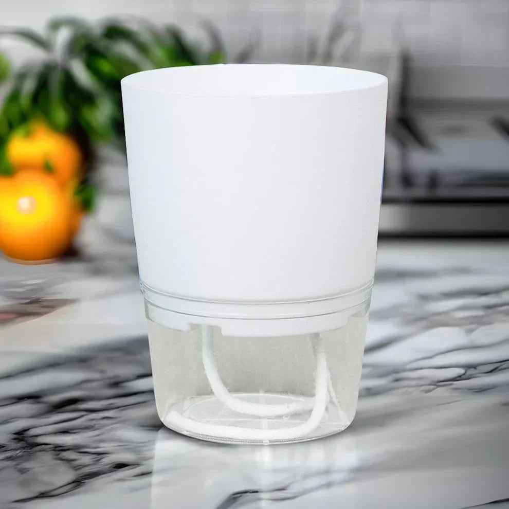 Lisslune | Automatic watering pot