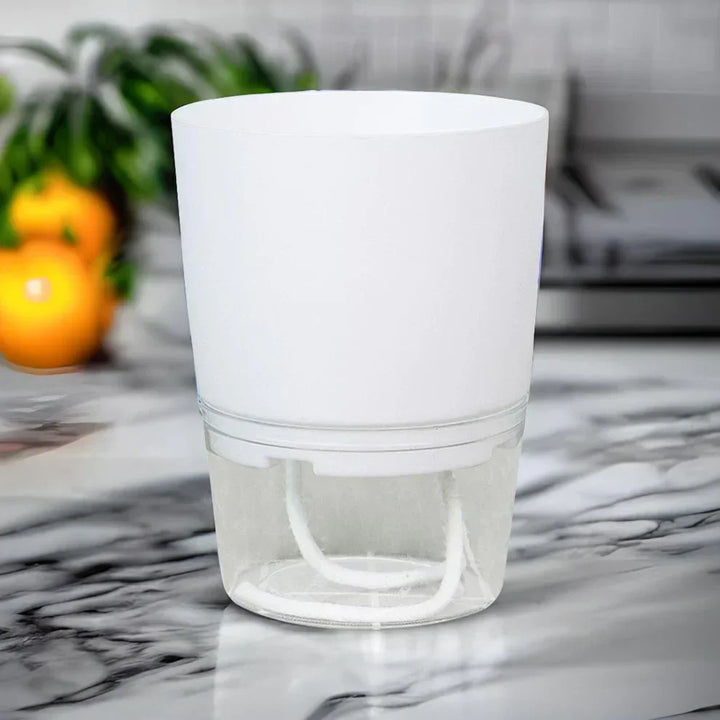 Lisslune | Automatic watering pot