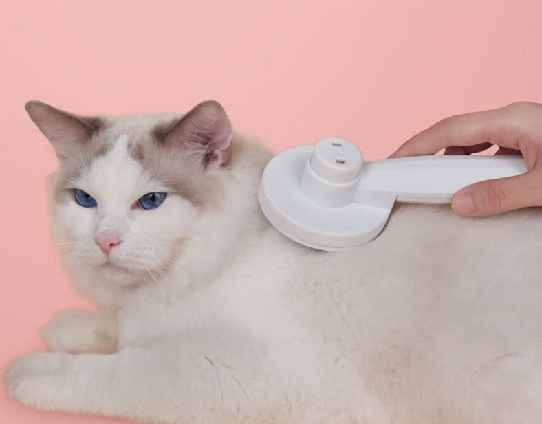 Lisslune | GROOMCLICK – Self-Cleaning Cat Brush for Gentle Grooming & Less Shedding