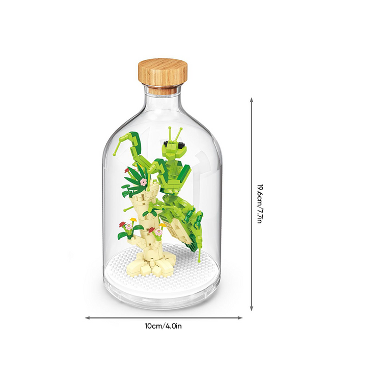 Lisslune | Mini building blocks for insect collection