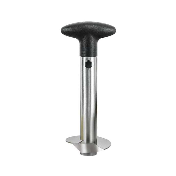 Lisslune | Pineapple corer and slicer