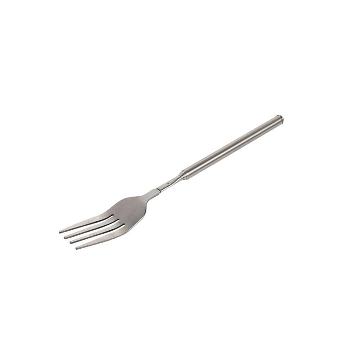 Lisslune | Stainless Steel Telescopic Fork