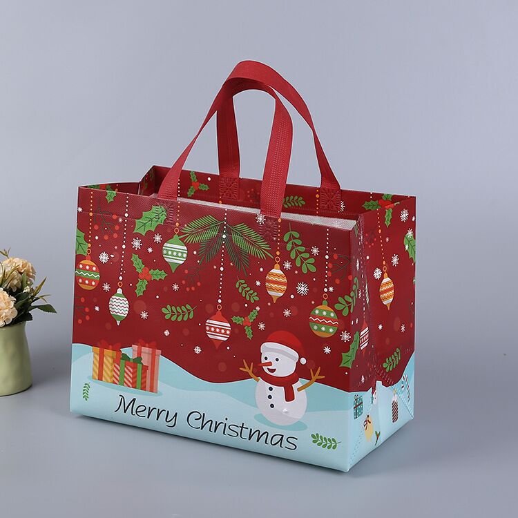 Lisslune | Christmas gift bag