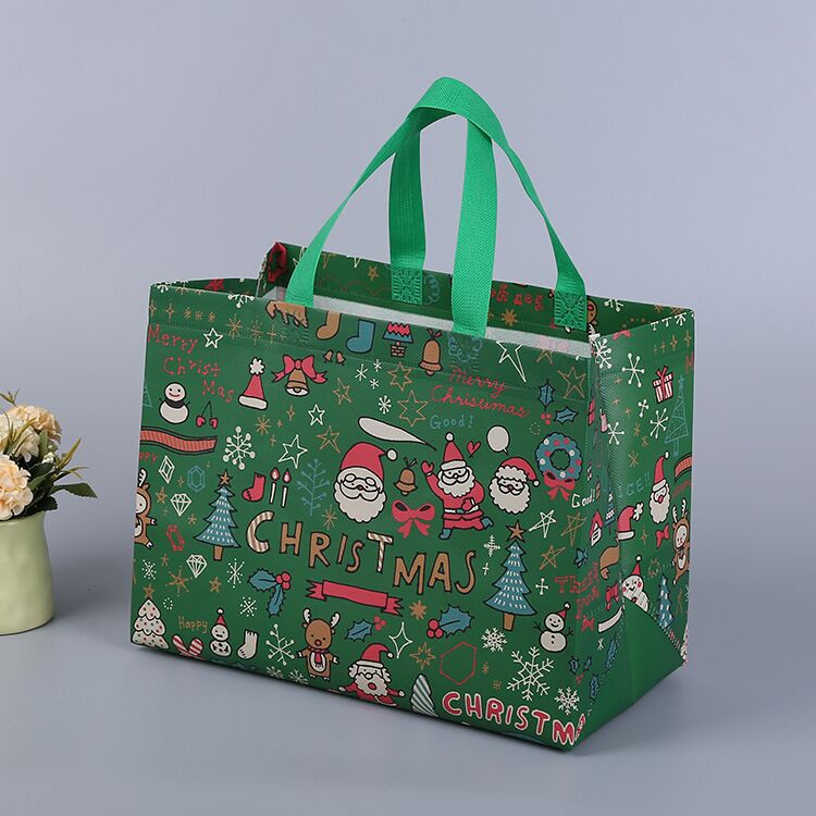 Lisslune | Christmas gift bag