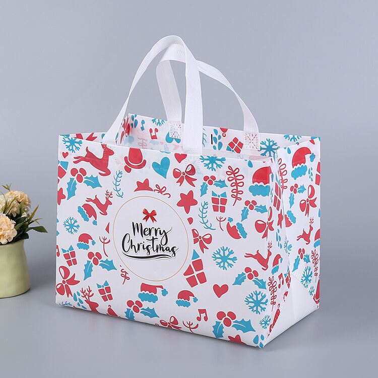 Lisslune | Christmas gift bag