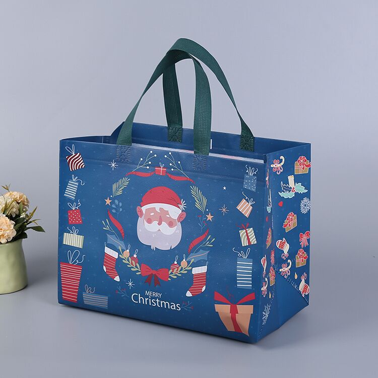 Lisslune | Christmas gift bag