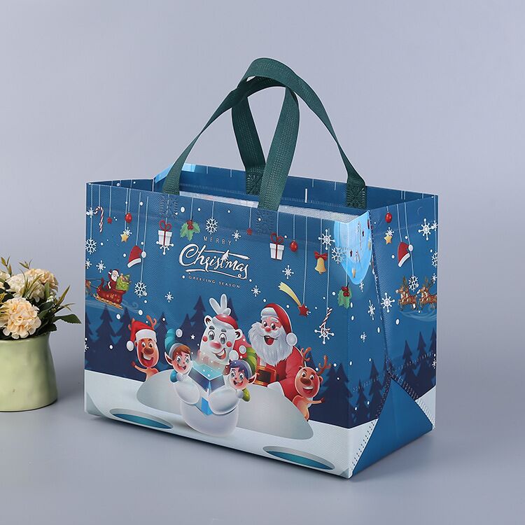 Lisslune | Christmas gift bag
