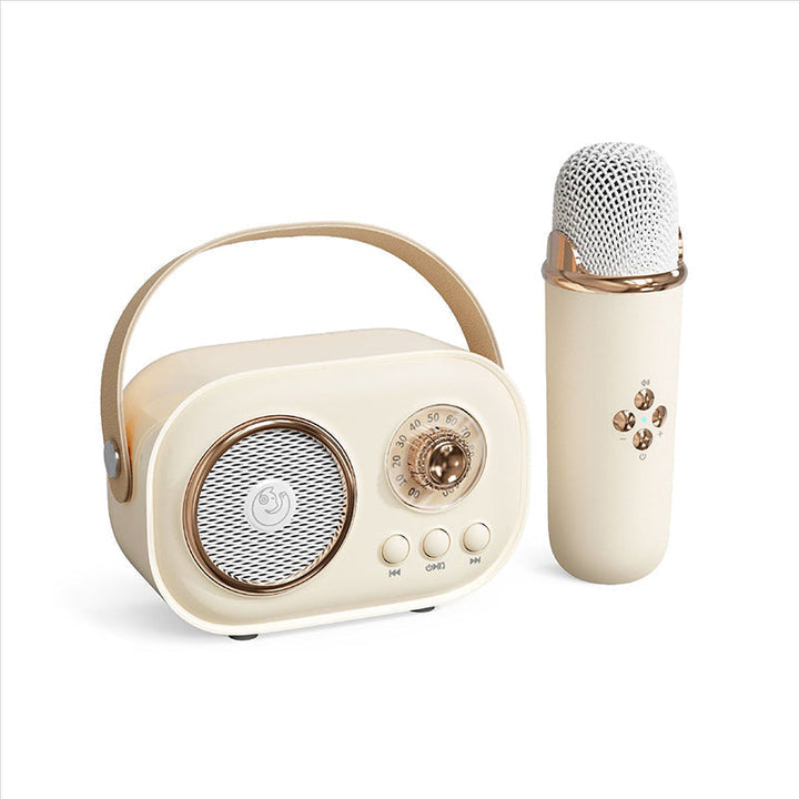 Lisslune | Portable Bluetooth Speaker with Wireless Microphone