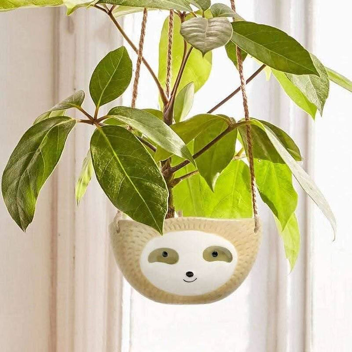 Lisslune | LUMA – Stylish Hanging Sloth Vase for Your Spaces