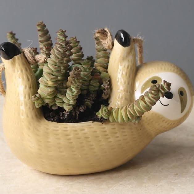 Lisslune | LUMA – Stylish Hanging Sloth Vase for Your Spaces