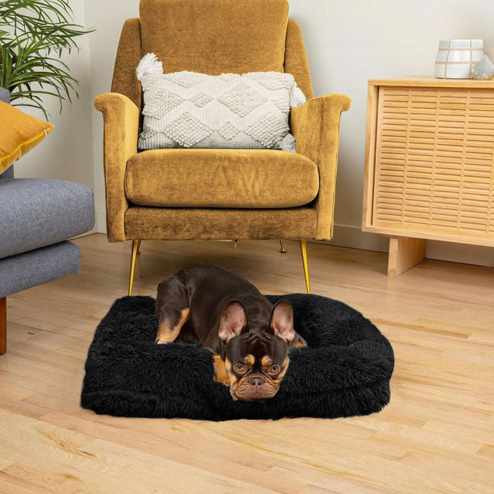 Lisslune | SNUGPAW - Orthopedic Dog Bed