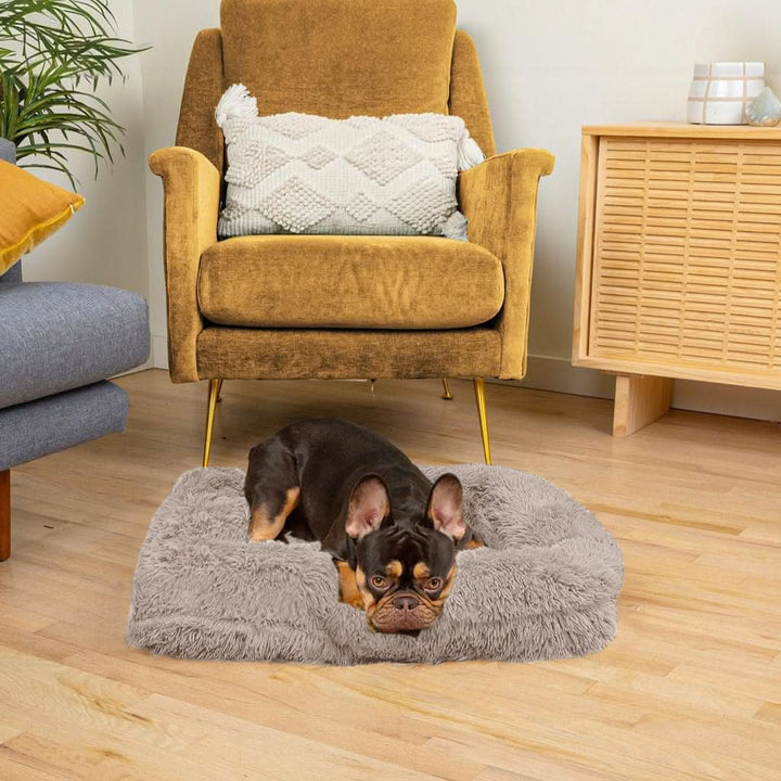 Lisslune | SNUGPAW - Orthopedic Dog Bed