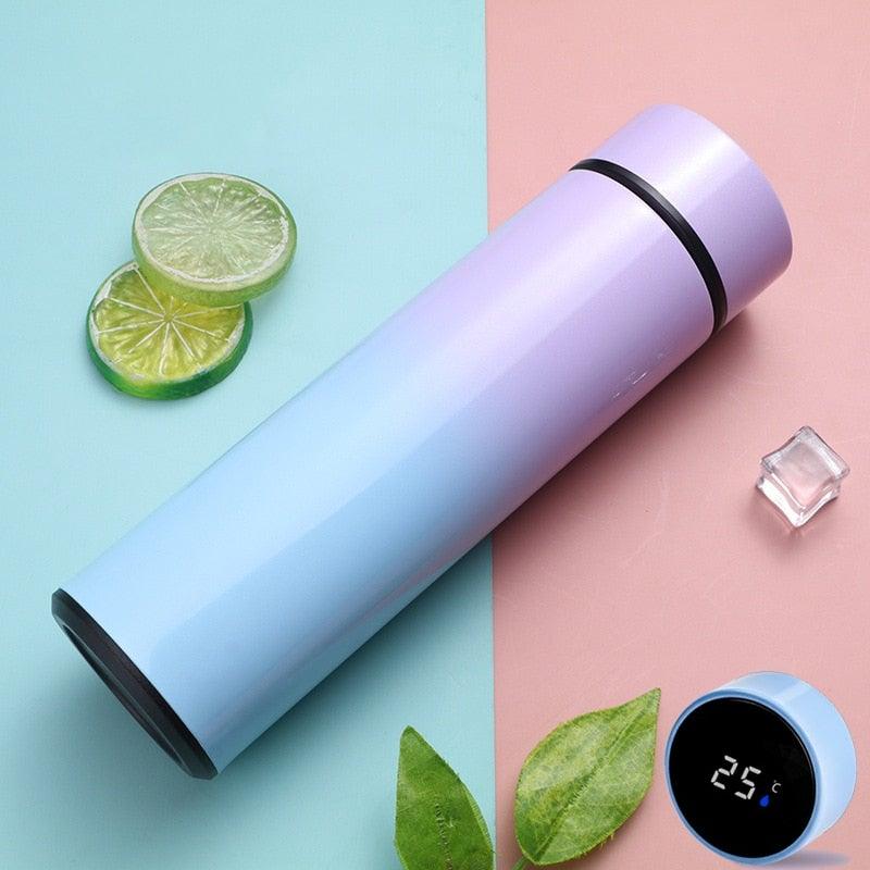 Lisslune | Smart Thermos - LED Digital Temperature Display Thermos Bottle