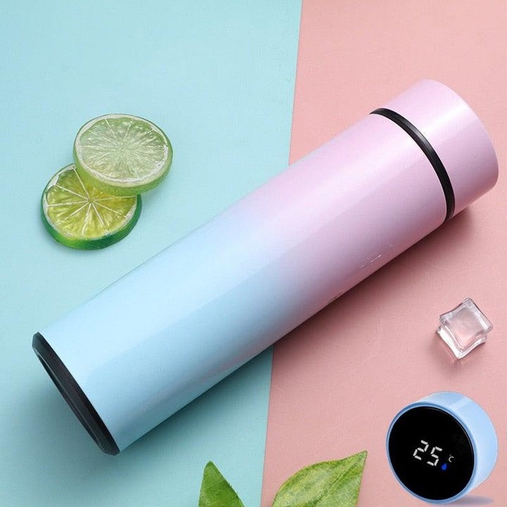 Lisslune | Smart Thermos - LED Digital Temperature Display Thermos Bottle