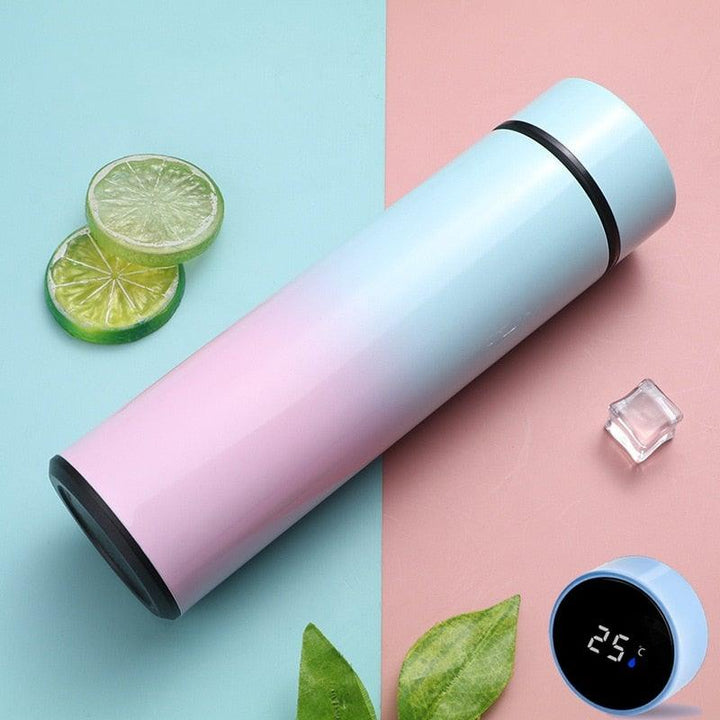 Lisslune | Smart Thermos - LED Digital Temperature Display Thermos Bottle