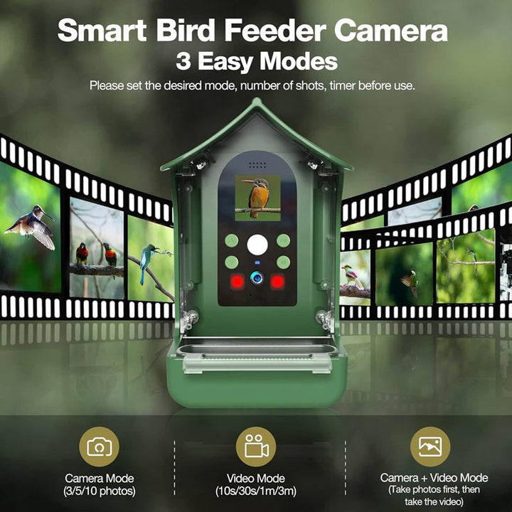 Lisslune | Smart Bird Feeder with PIR Motion Detection and Auto Capture