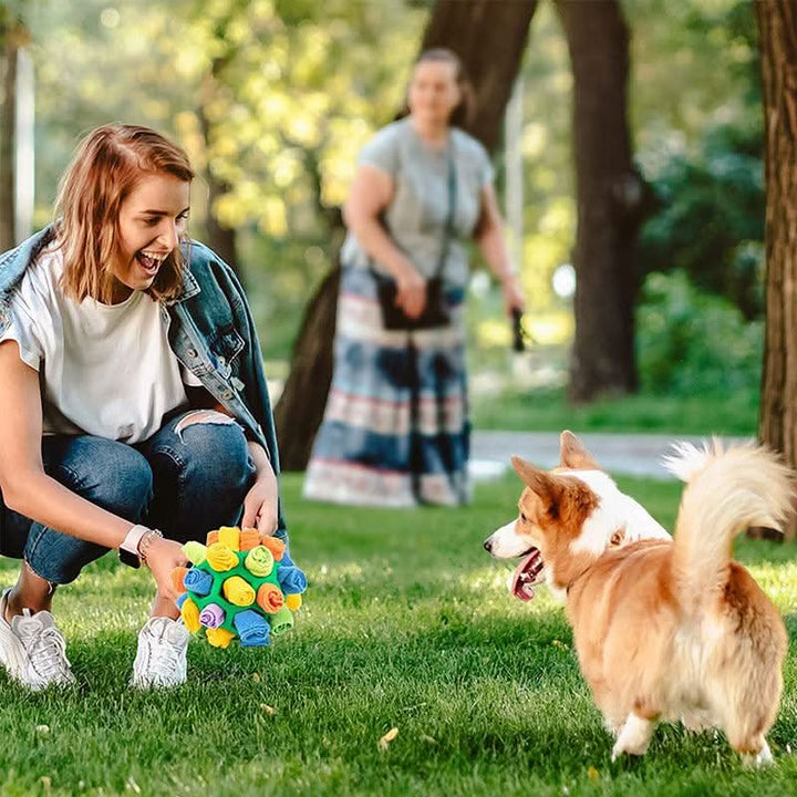 Lisslune | SNUFFLEFUN – Interactive snuffle toy for the mental stimulation of pets