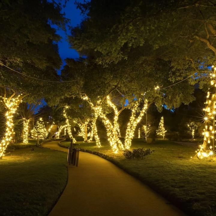 Lisslune | Solar Energy Ambient Lighting - SoliGlow