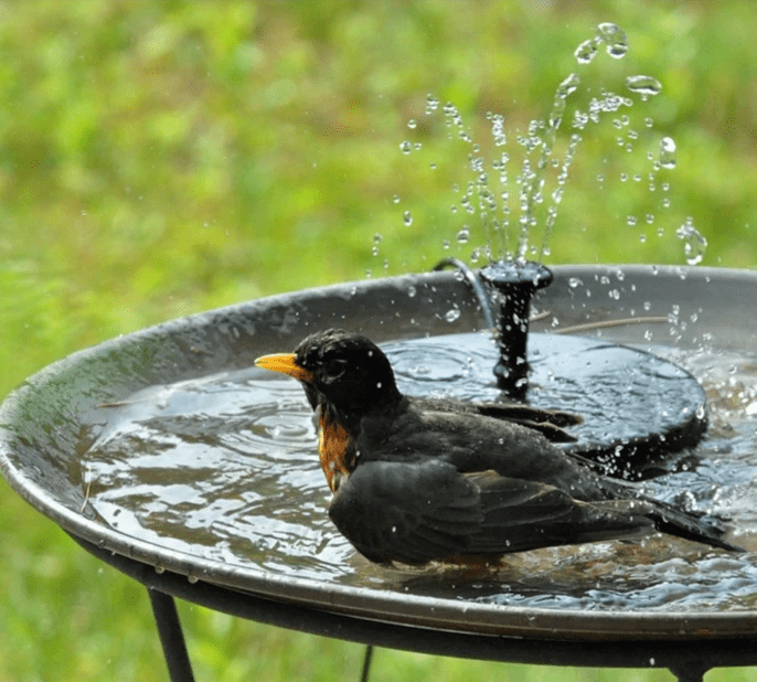 Lisslune | ORBITALWATER – Solar Fountain Water Feature with Solar Panel